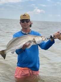 Caught some good ones thia evening wade 