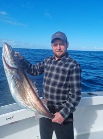 Bay of Islands gemfish July 2021