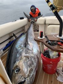 Glorietta Bay Marina A California Yacht Marina Report Photo 4