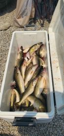 Port Clinton Report Photo 1