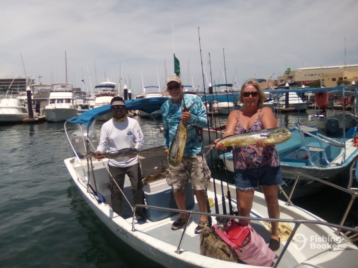 San Jose del Cabo Report Photo 0