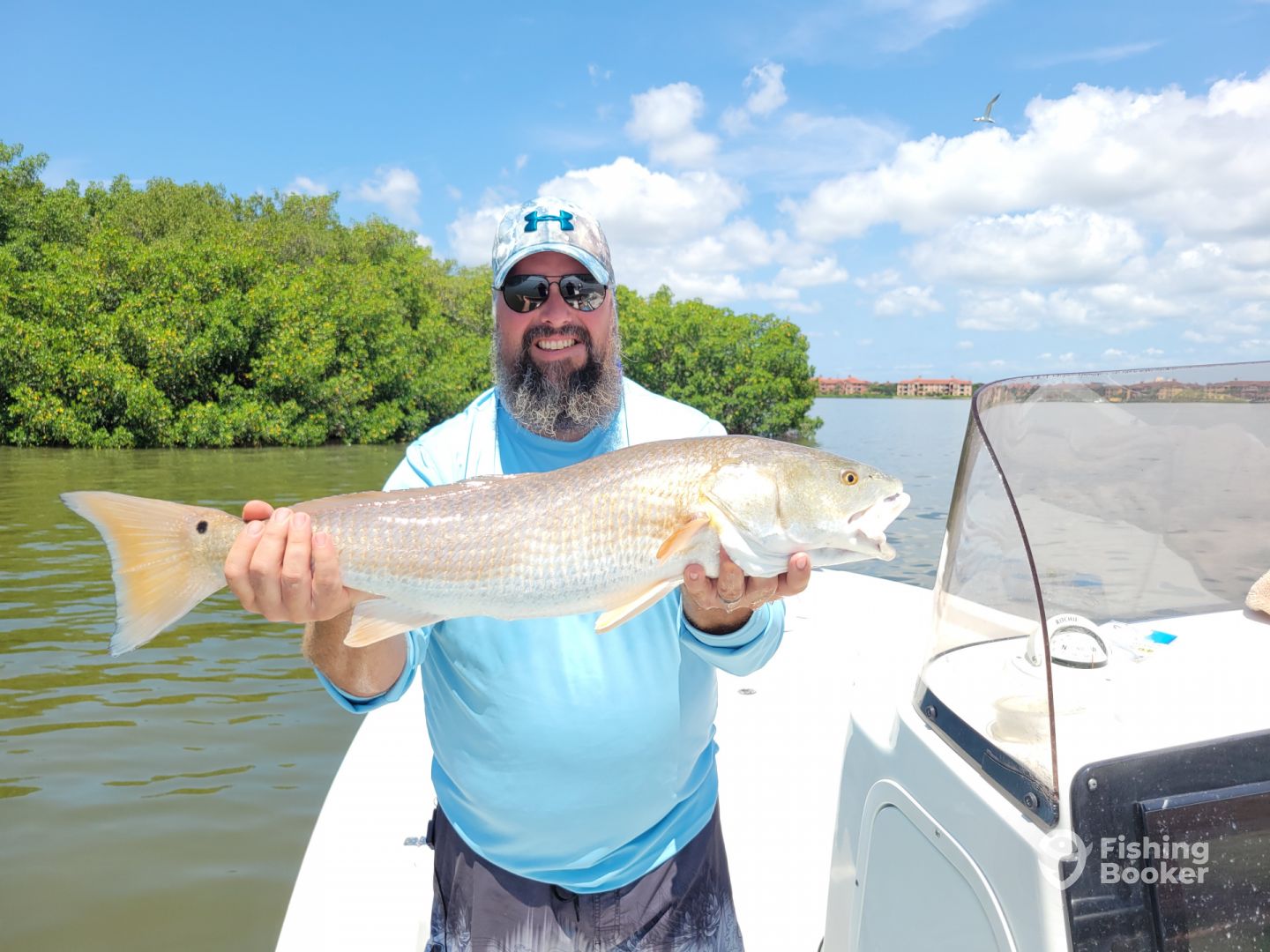 Clearwater Report Photo 0
