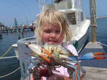 Hatteras Report Photo 1