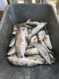Port O'Connor Report Photo 1