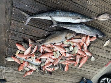 Carolina Beach Report Photo 2