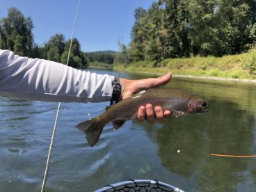 Willamette River Report Photo 1
