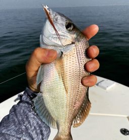 Narragansett Foto: 1