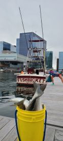 Boston Report Photo 1