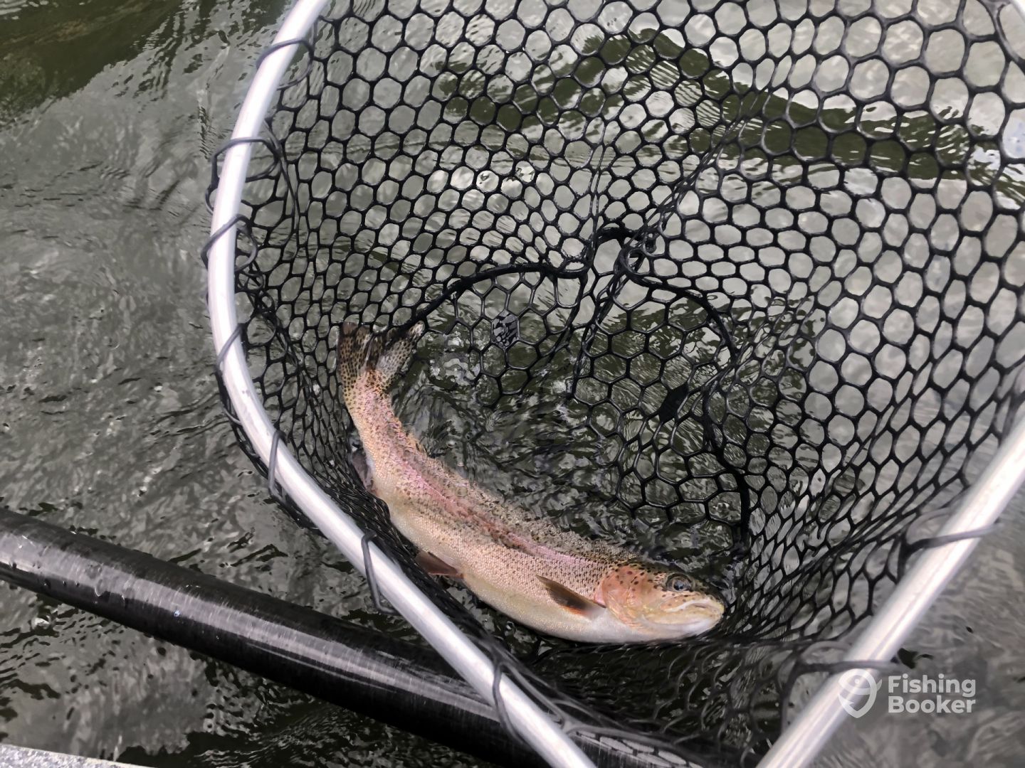 Willamette River Report Photo 0