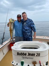 Dorado being caught today!!