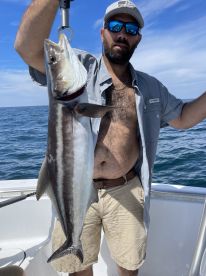 Cobia!!