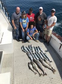 Illinois Report Photo 1