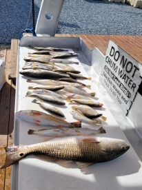 Saturday is for Fishing !!!