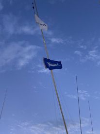 Blue Marlin Caught On Championship!