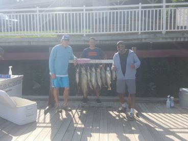 Manistee River Report Photo 1
