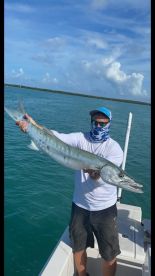 MORE MONSTER BARRACUDAS!!
