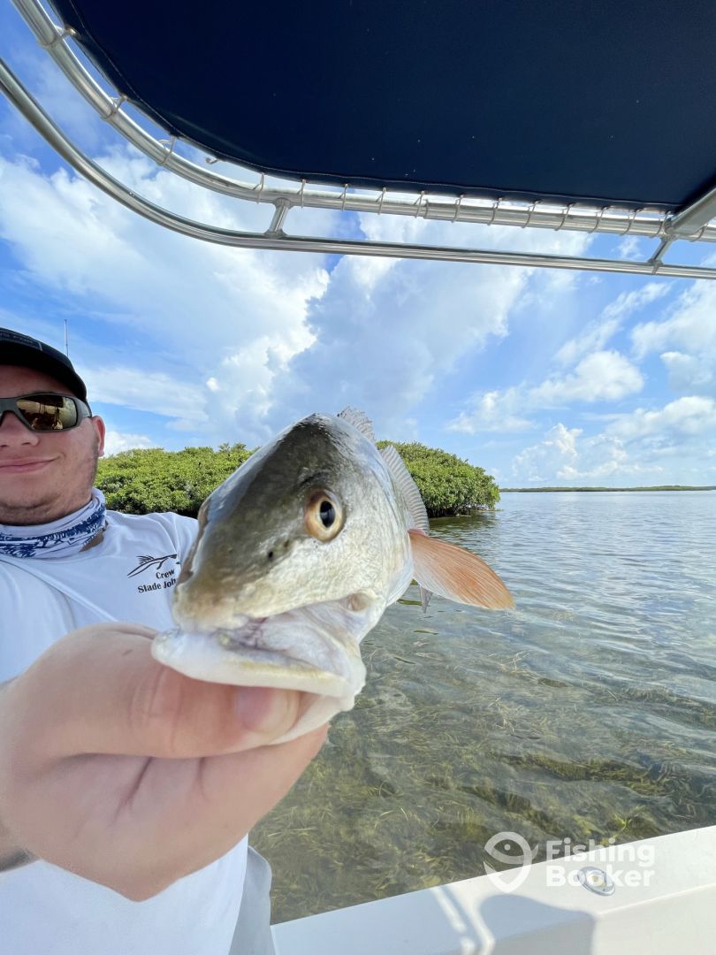 Everglades City Report Photo 0