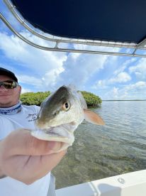 Everglades City Report Photo 2