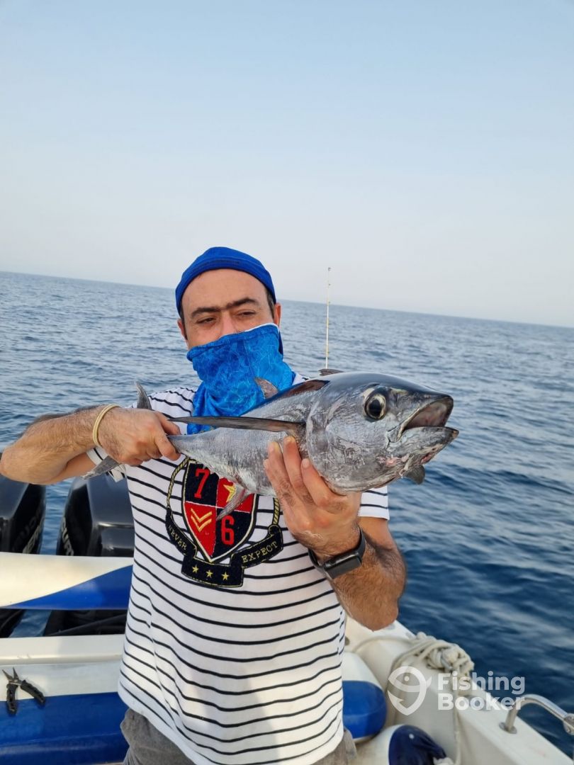 Fujairah Report Photo 0