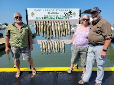 Minnesota Eyes on Erie
