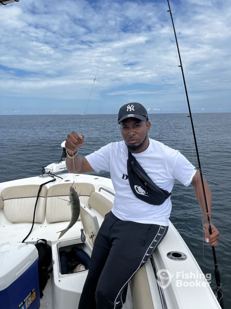 Georgia Report Photo 0