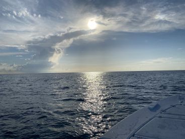 Fun day offshore, great fishing!