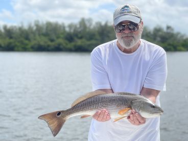 Sarasota Report Photo 2