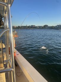Narragansett Report Photo 2