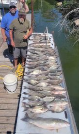 Quinlan Report Photo 1