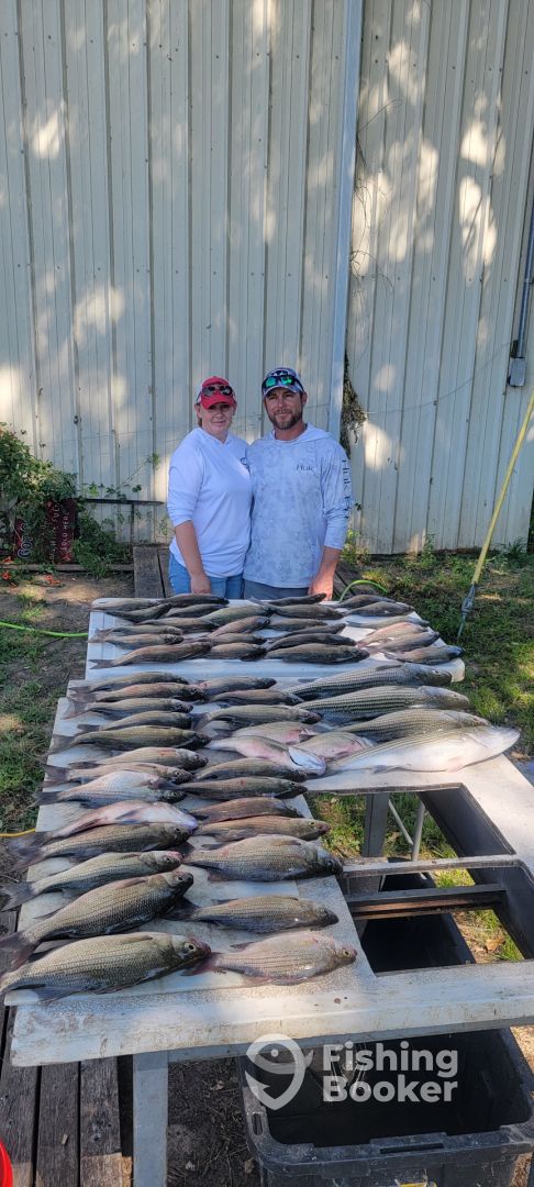 Lake Tawakoni Report Photo 0