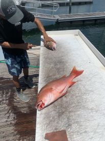Tasty snapper!
