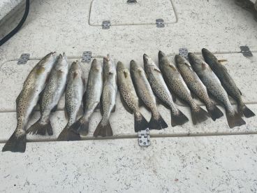 Beaufort Report Photo 1