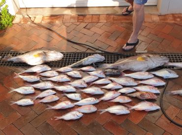 South Africa Report Photo 1