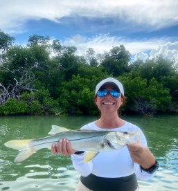 Plenty of fun size snook hanging around