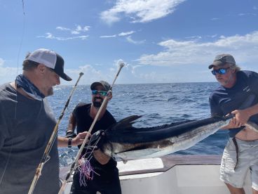 White Marlin Catch On Championship!