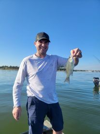 Grapevine Report Photo 1