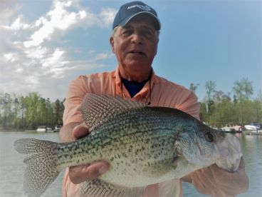 Capt. Gus holds a slab crappie