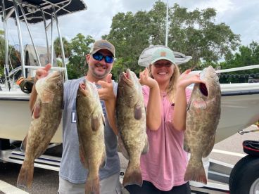 Grouper Digging!