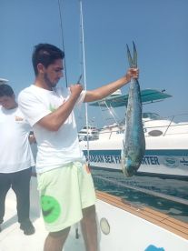 United Arab Emirates Report Photo 1