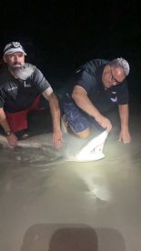 New Smyrna Beach Report Photo 2