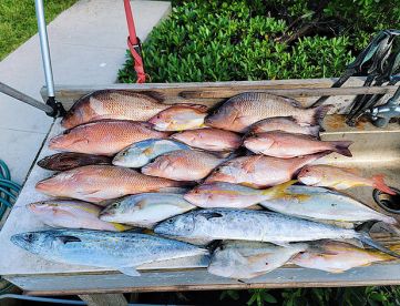 Fishing Report 9/27