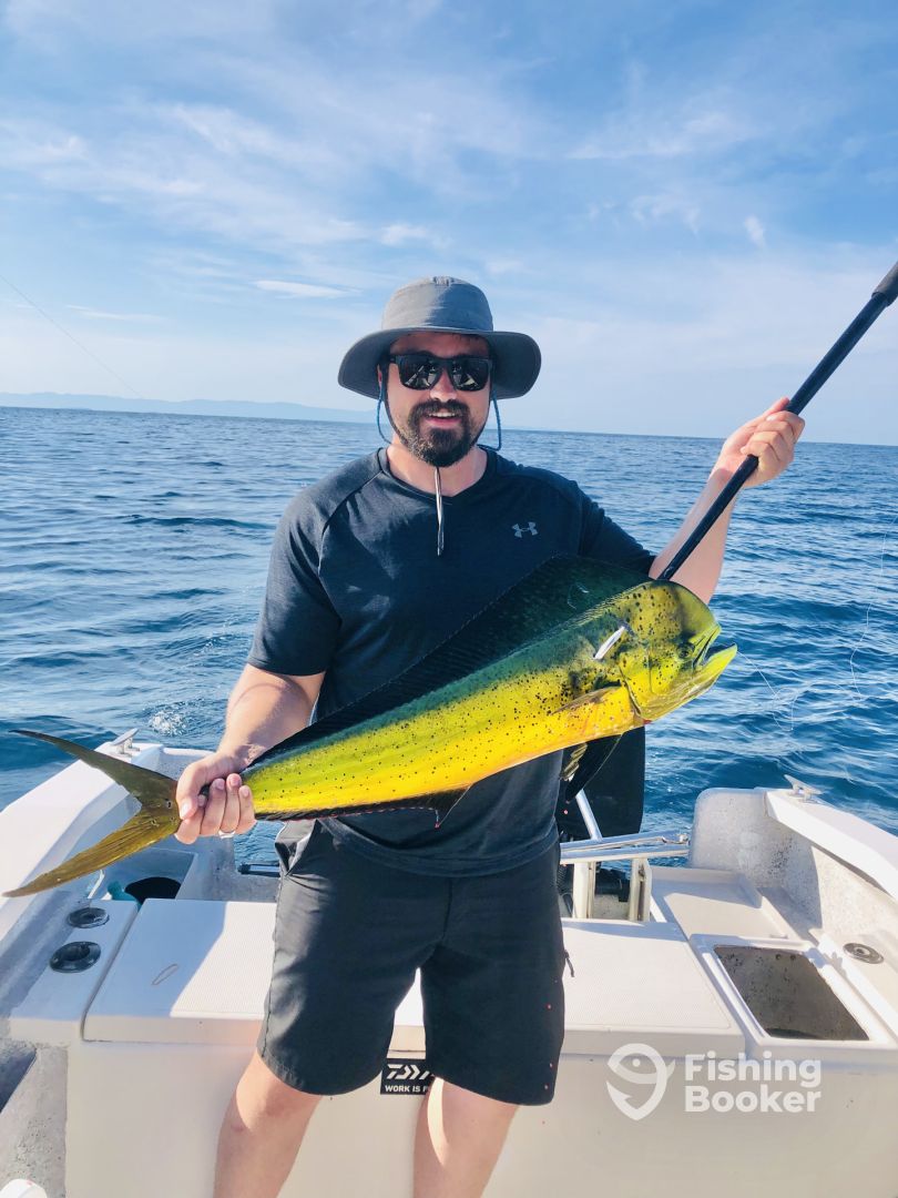 Puerto Vallarta Report Photo 0