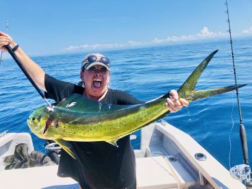 Puerto Vallarta Report Photo 1
