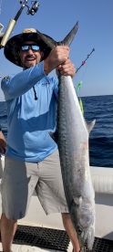Mixed bag of fish!!!