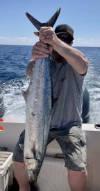 Stud King Mackerel!