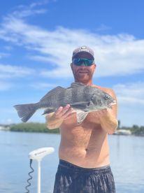 Drum bite getting hot !