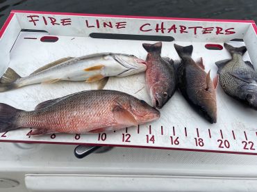 Port Orange Report Photo 2