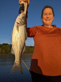 Gainesville Report Photo 2