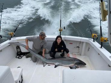 Thresher Shark!