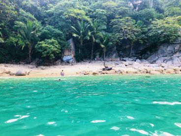 Puerto Vallarta Report Photo 2